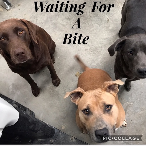 CLOSET CLOSING SALE! - Picture 7 of 8